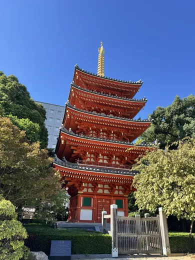 10月7日 · 东长寺的红塔 · 第4张精选照片
