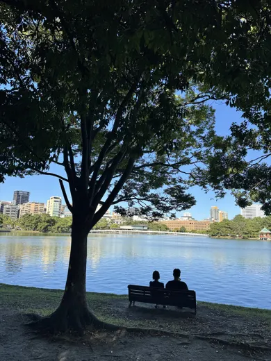 10月8日 · 大树下的湖景 · 第7张精选照片