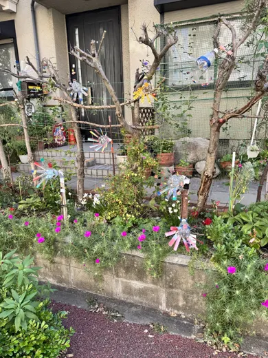 10月8日 · 绿植围绕的小店 · 第8张精选照片