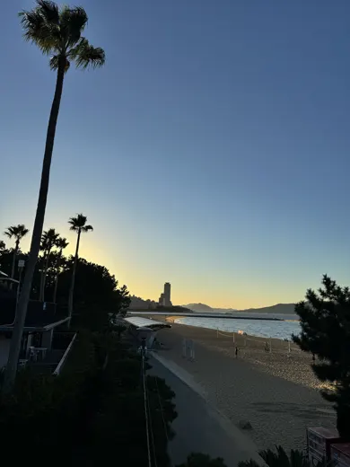 10月8日 · 棕榈树下的海滩 · 第12张精选照片